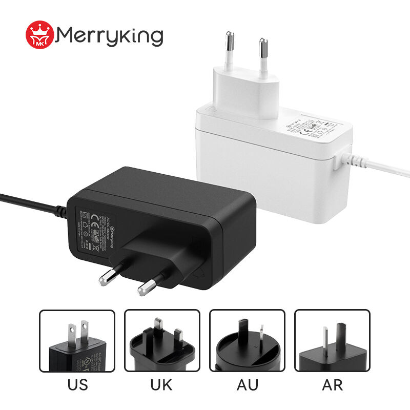 EU Type 12V 2.5A Power Adapter