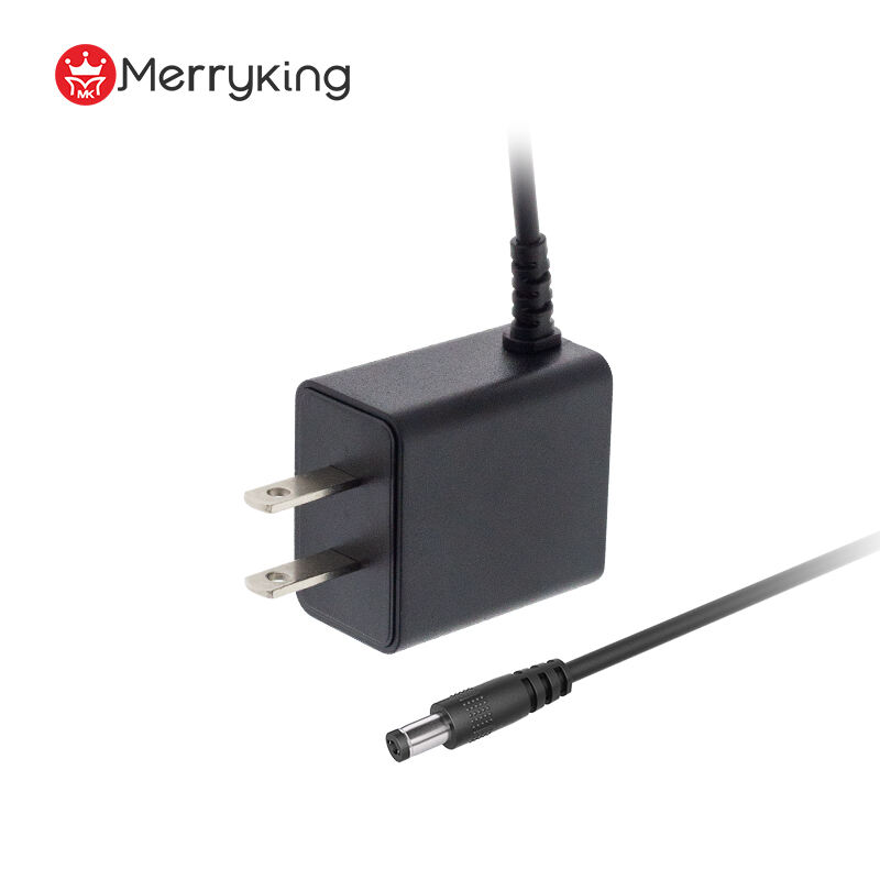 6V 1A Output Wall-Mount Power Adapter