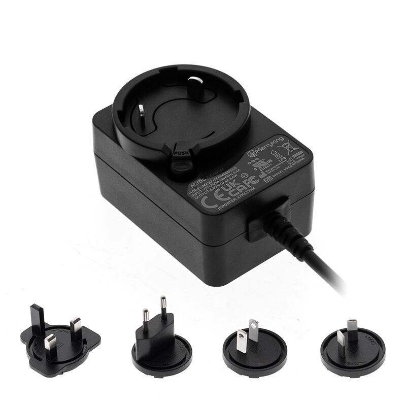 5V 4A DC Detachable Power Adapter