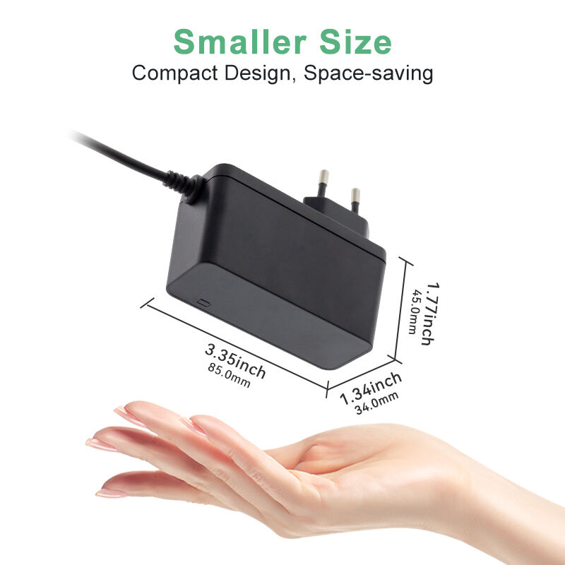 European Type Power Adapter 48V 0.7A