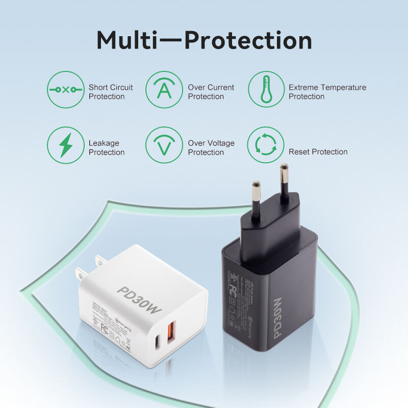 US Standard 30W PD Fast Charger Dual Ports