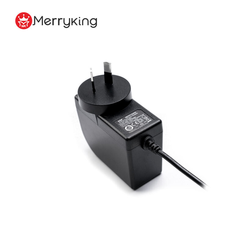 Argentina Plug 24V 1.5A Power Adapter