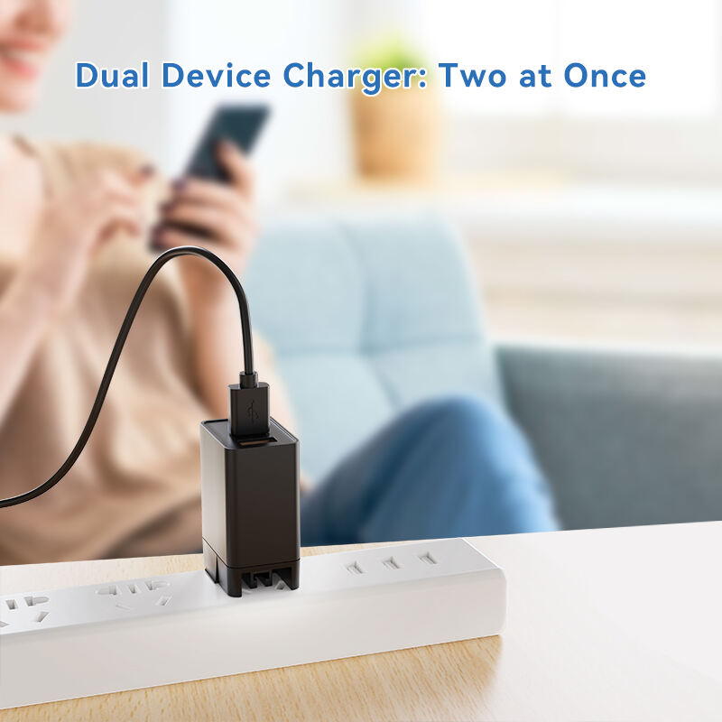 US Plug 5V 500mA USB A Dual Charger