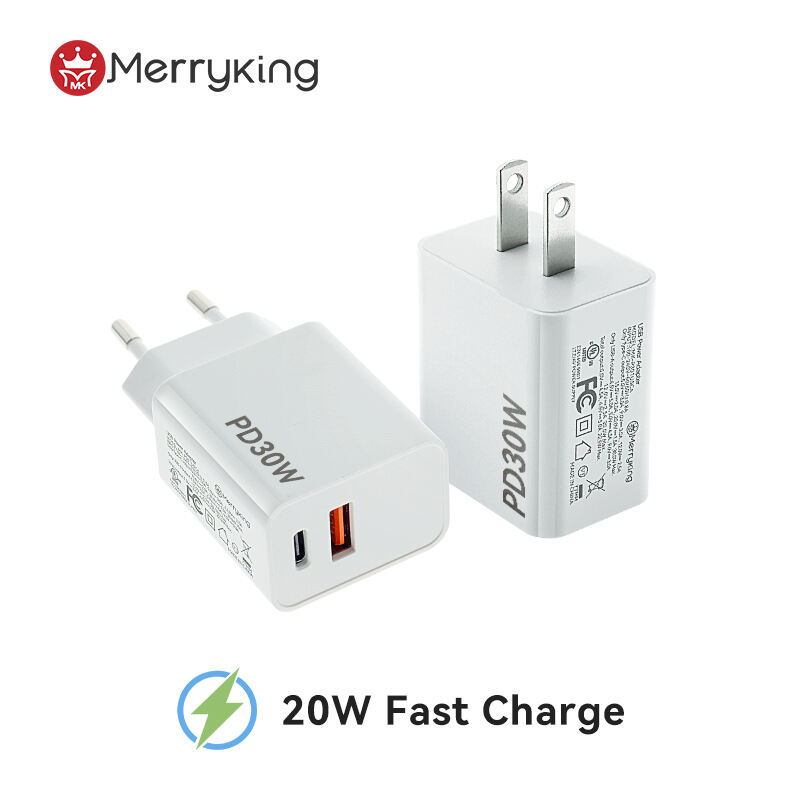 US Standard 30W PD Fast Charger Dual Ports