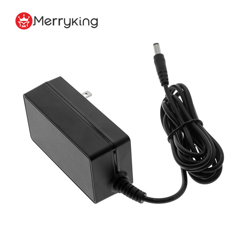 12V 4A DC Power Adapter