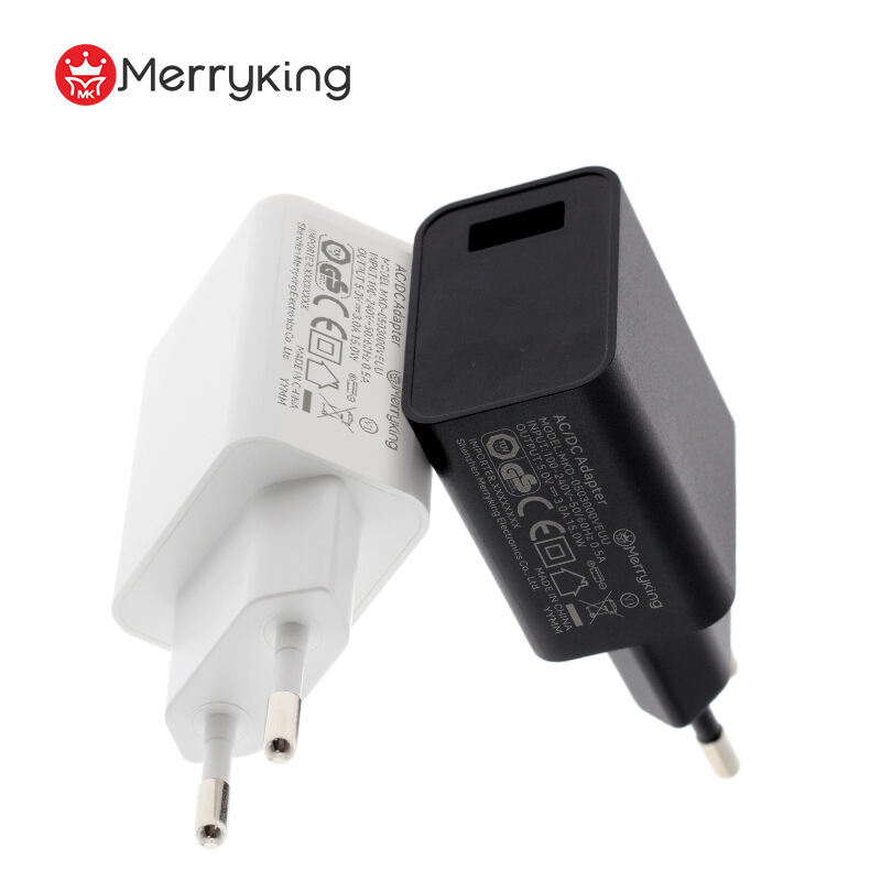 European Type Power Adapter 8V 2A