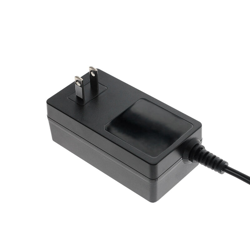 12V 4A DC Power Adapter