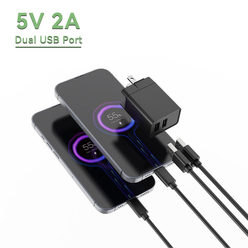 US Plug 5V 500mA USB A Dual Charger