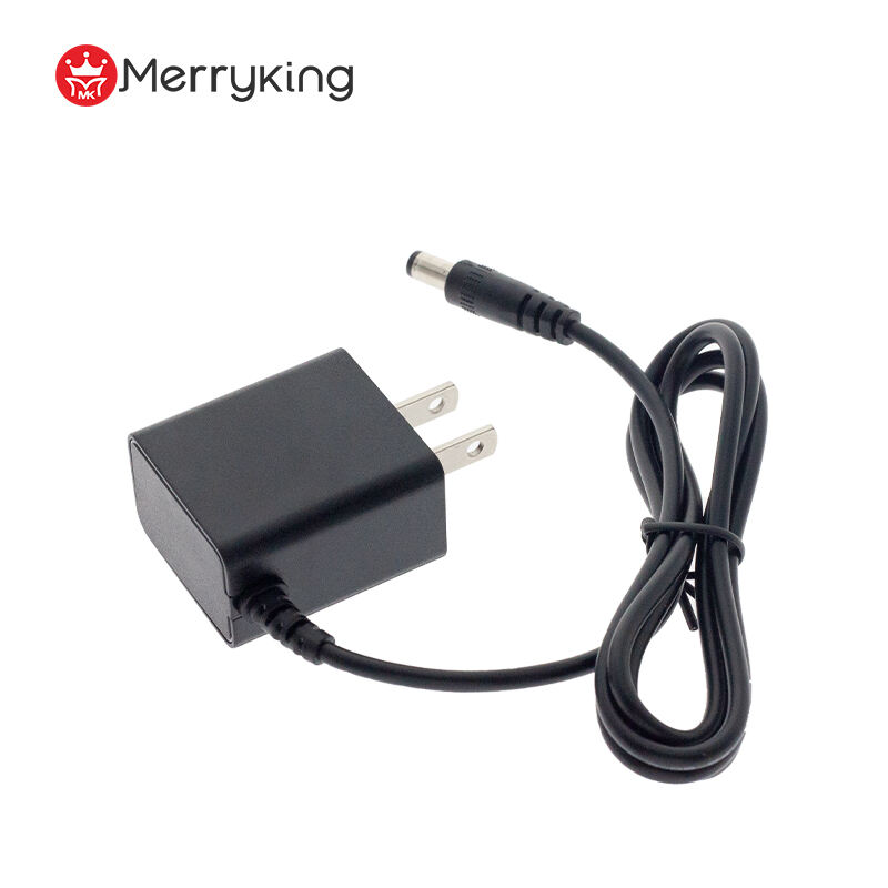 6V 1A Output Wall-Mount Power Adapter