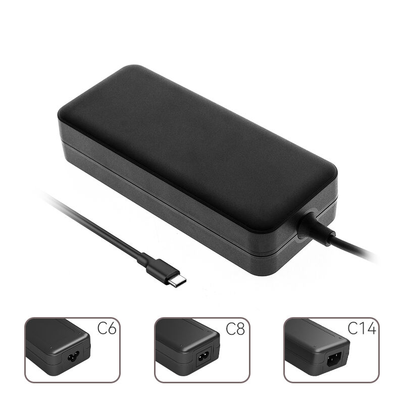 C6/C8/C14 PD 100W Desktop Fast Charger Adapter