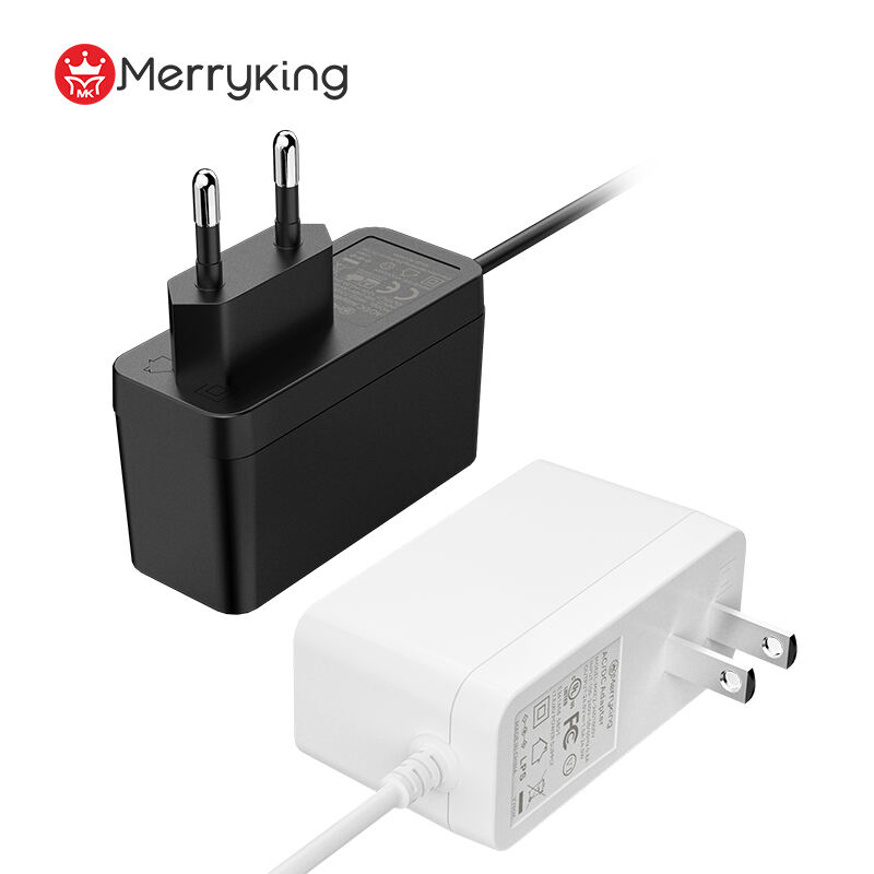 EU Type 12V 2.5A Power Adapter