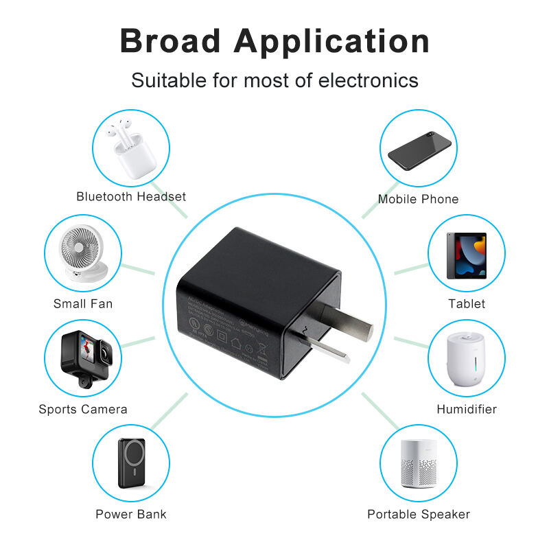 Argentina Plug 5V 500ma USB Charger