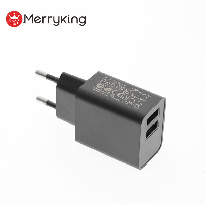 EU Plug 5V 800mA Dual USB A Charger