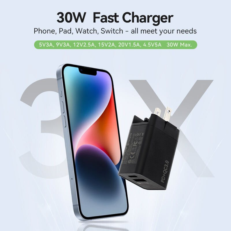 Interchangeable Standard 30W PD Portable Dual Charger