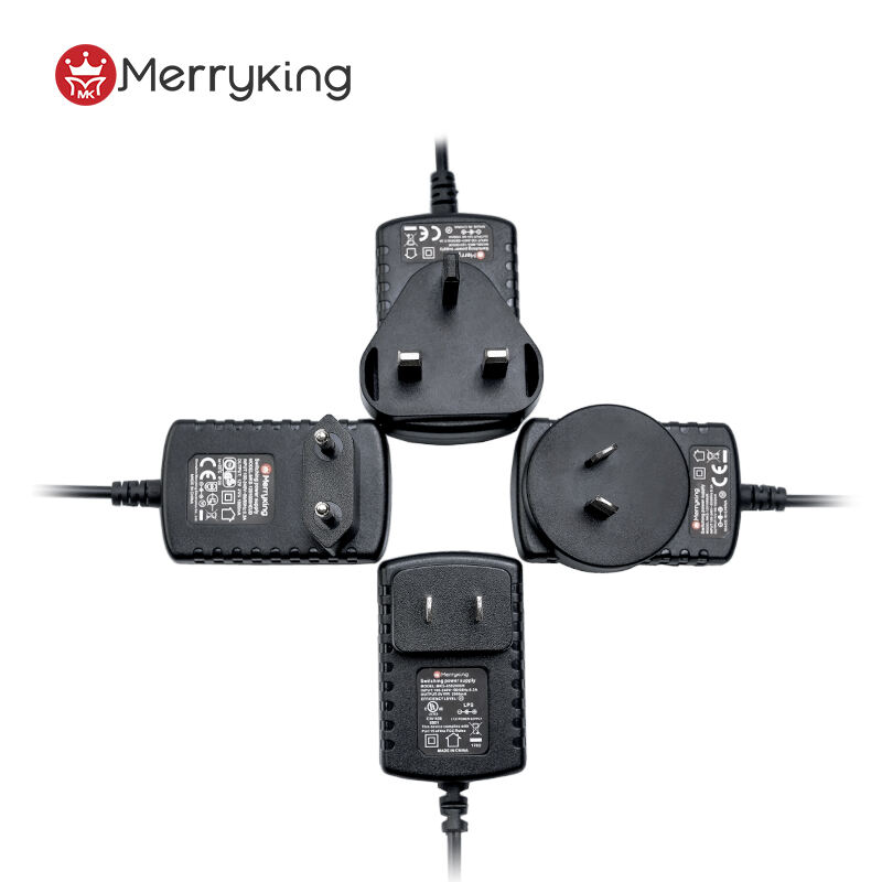 European Plug 5V 3A Switching Power Adaptor