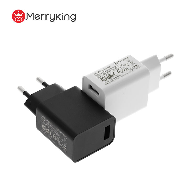 European Type Power Adapter 8V 2A