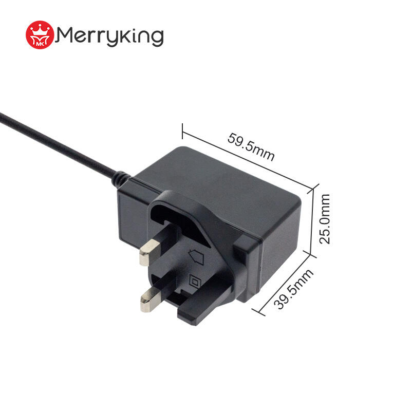 UK Plug 24V 0.5A Switching Power Adapter