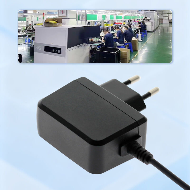 Nangungunang Pagtitiyak ng Kalidad sa mga Adapter ng Kuryente na 12V