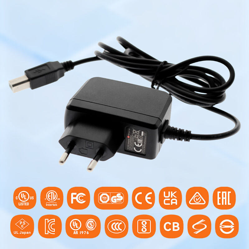 Hindi maikakalaban na Kalidad at Katiyakan ng mga Adapter ng 12V na Kapangyarihan