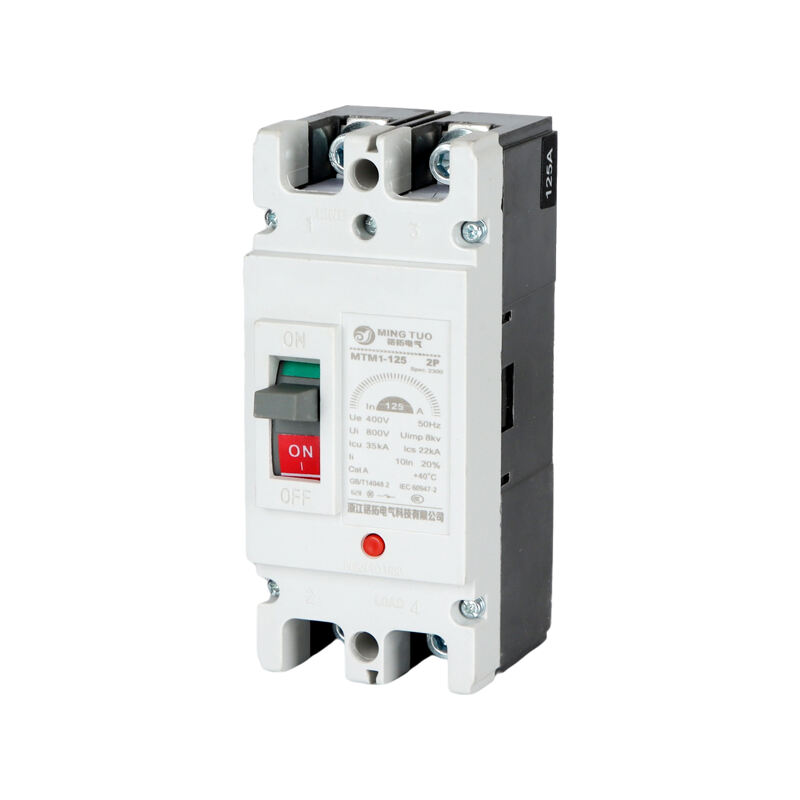 Compact MCCB 125A 2P Motor Protection Circuit Breaker 380V