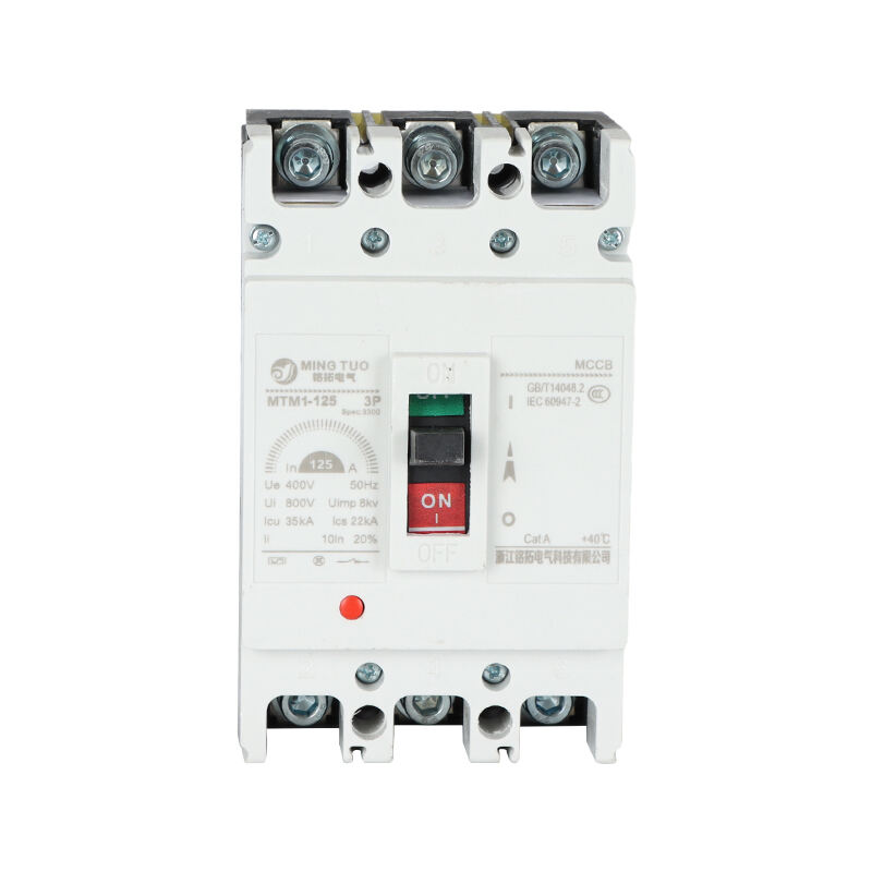 IEC 125A MCCB Molded Case Switch 3P Circuit Protector