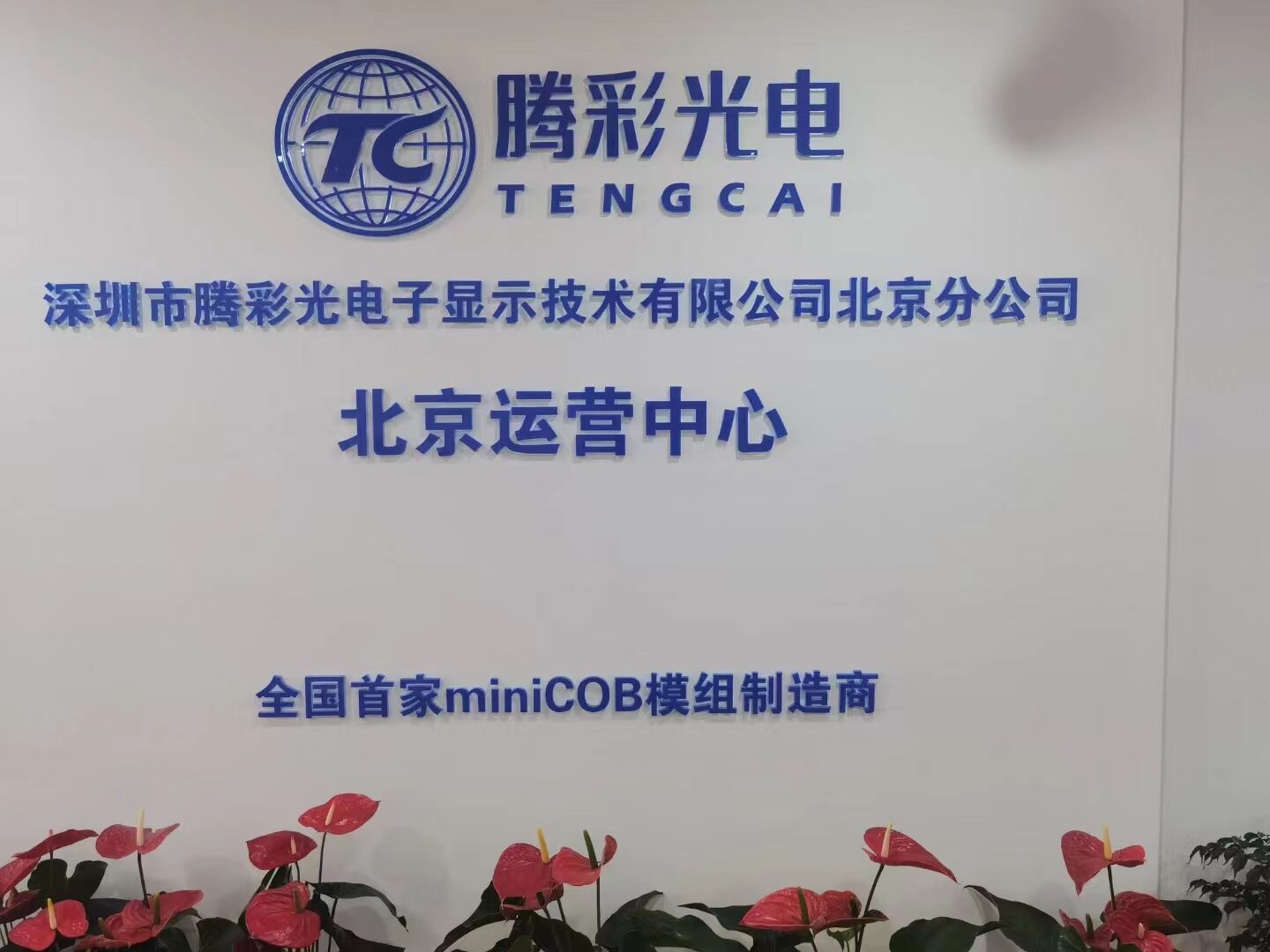 Leading COB LED Display Innovator: Tengcai Semiconductor's Expansion and Technological Advancements