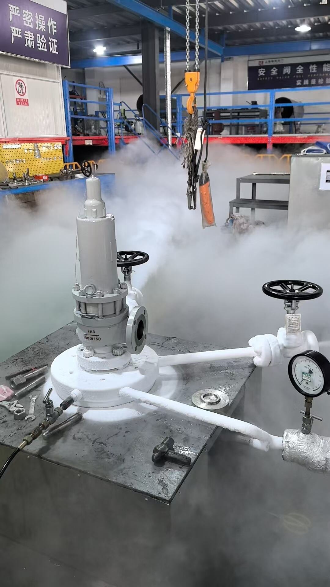 Key Points of Cryogenic Medium Testing for API Cryogenic Safety Valve-1