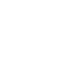 Customization Expertise