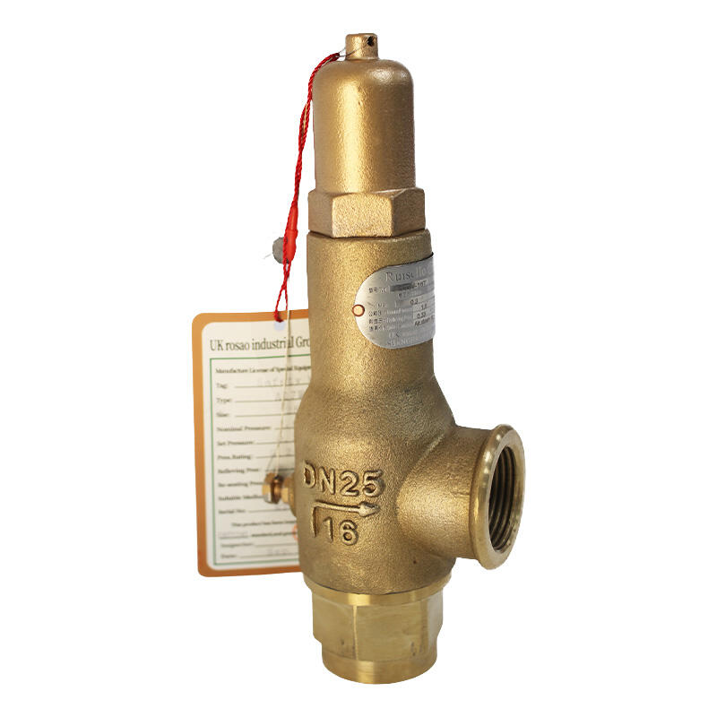 Gebalanceerde versus conventionele veerkleppen: een vergelijking