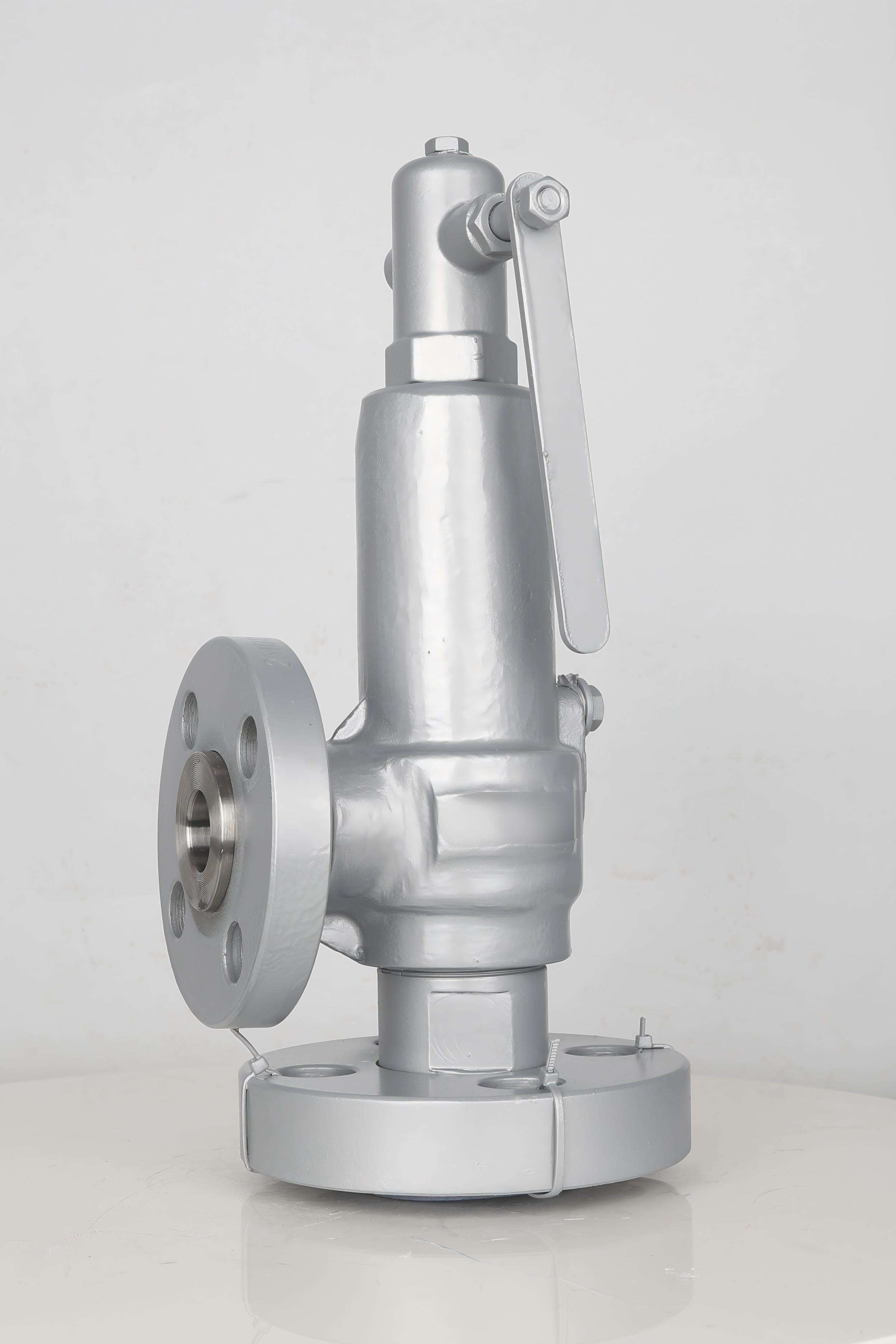 Engineering Reliability and Global Delivery Capability in Industrial Safety Valves