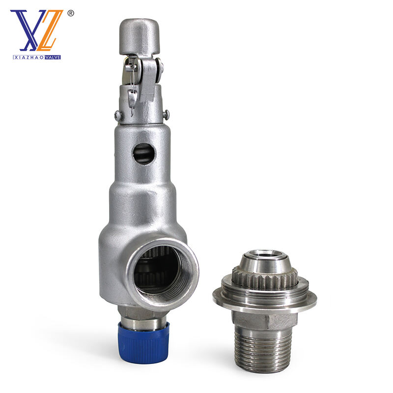 Industrial High-Pressure Relief Valve | Safety & Performance