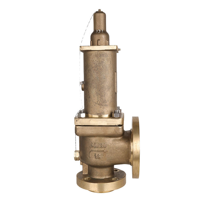 Seawater Safety Valve for Marine and Offshore Systems