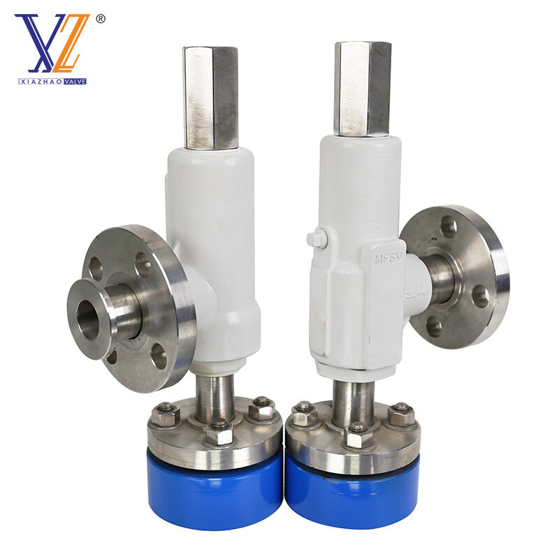 Shanghai Xiazhao: Comprehensive FAQ on Pressure Relief Valves