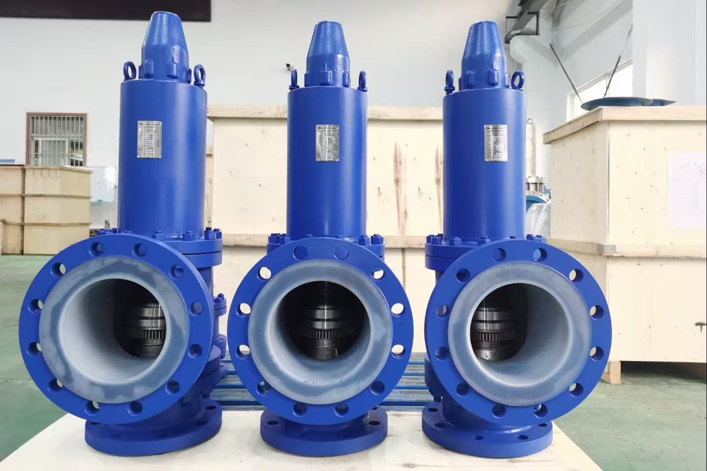 Introduction and Classification of Safety Valves