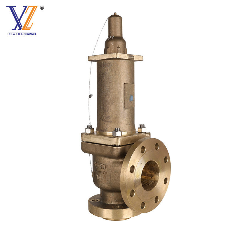 Xiazhao Sea Water Safety Valve 50mm×80mm PN16 | Duplex SS/Aluminum Bronze | Ultimate Corrosion Protection for Marine & Desalination