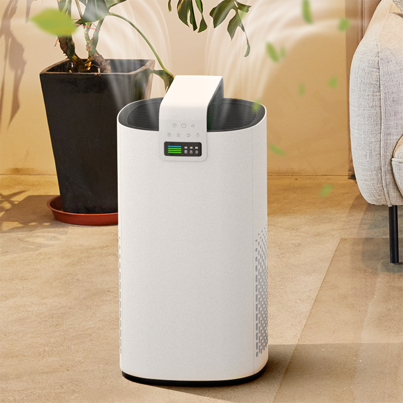 What Features Should You Look for in a Home Air Purifier?