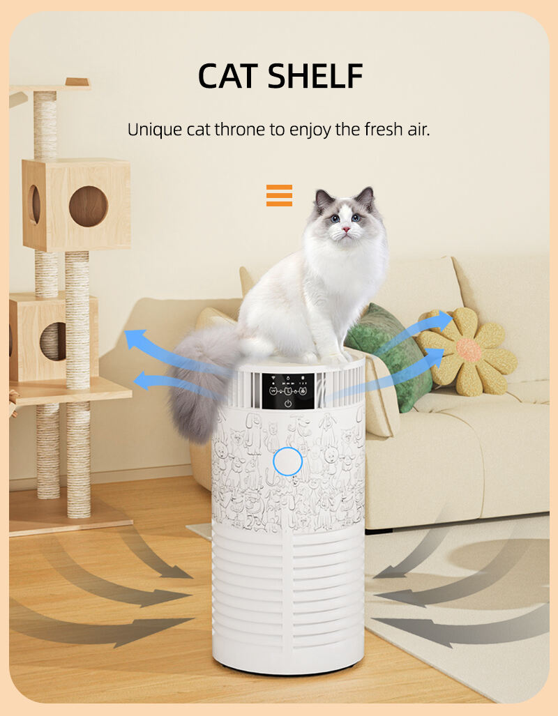 Perché un purificatore d'aria per animali domestici è essenziale nelle case con animali?
