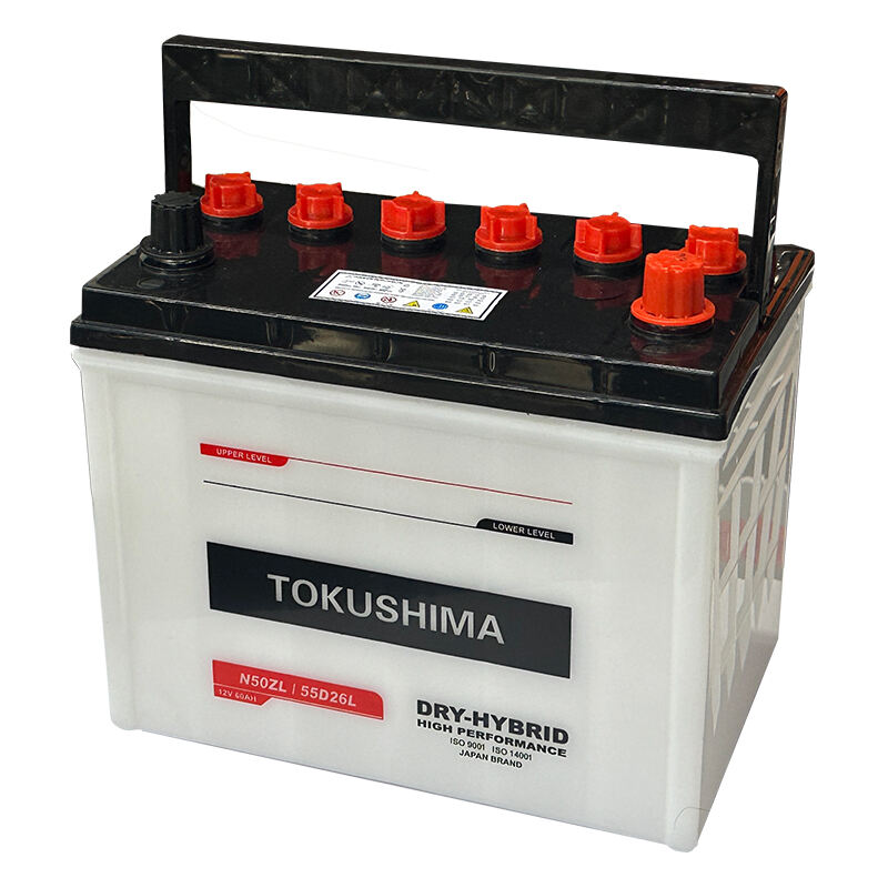 DRY CHARGED AUTOMOTIVE BATTERY