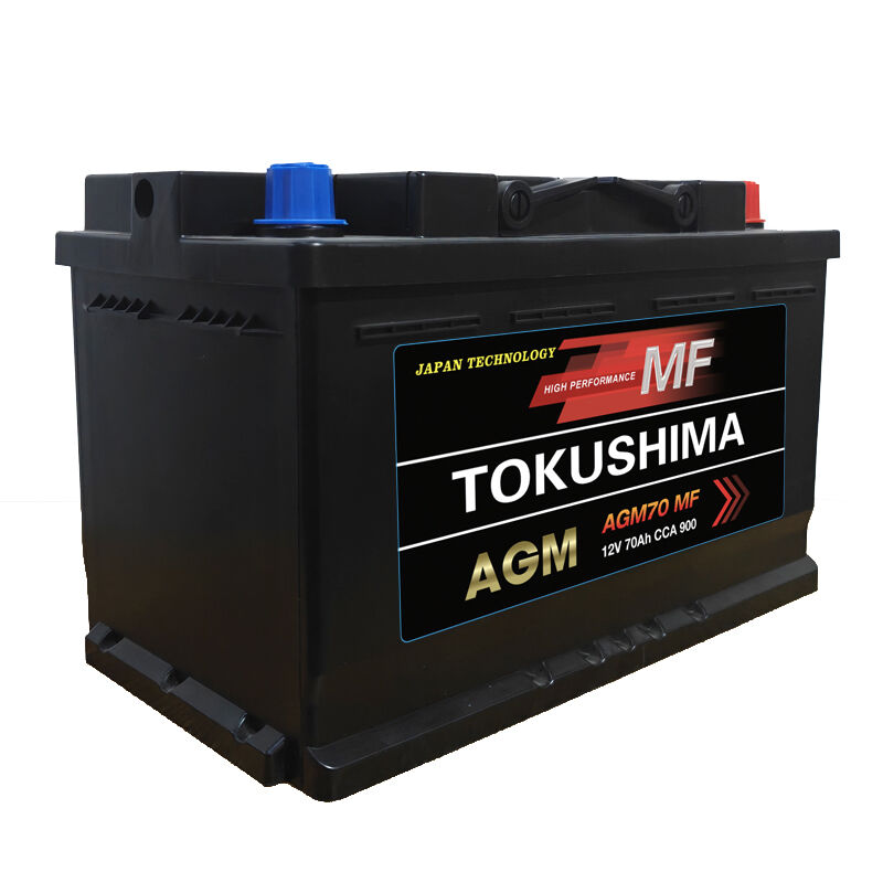 Top Reasons to Choose AGM Car Batteries