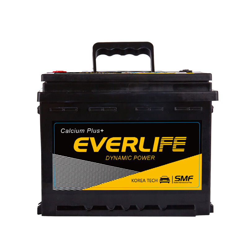 AUTOBATERIE EVERLIFE DIN64
