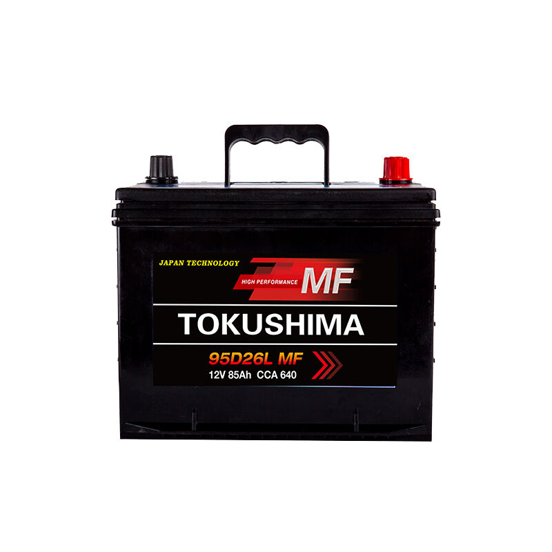12v lead acid car battery