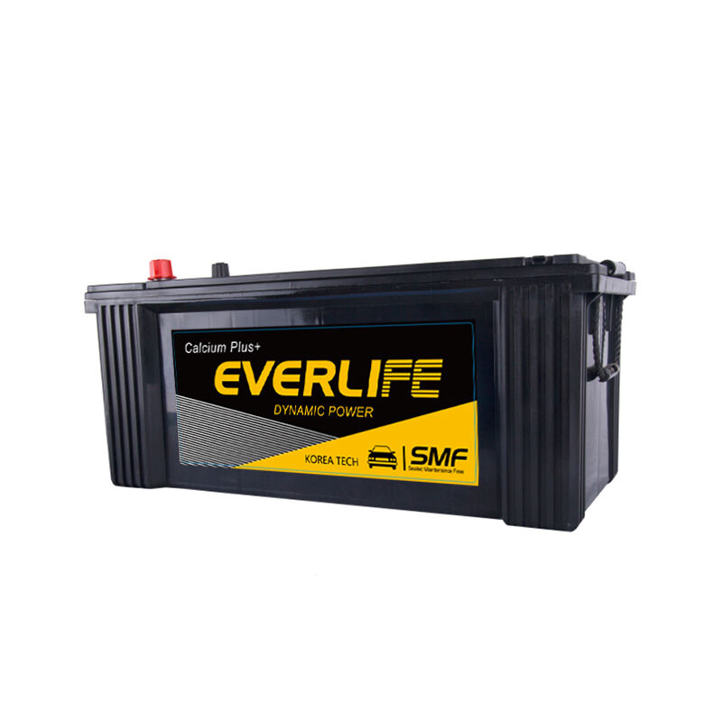 EVERLIFE N150 Truck Battery