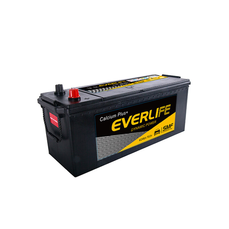 EVERLIFE N120 Truck Battery