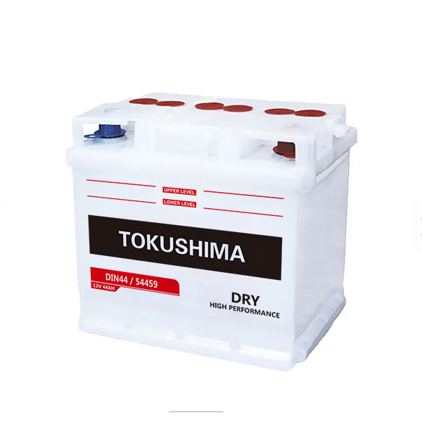 TOKUUSHIMA DIN44 DR Car Battery