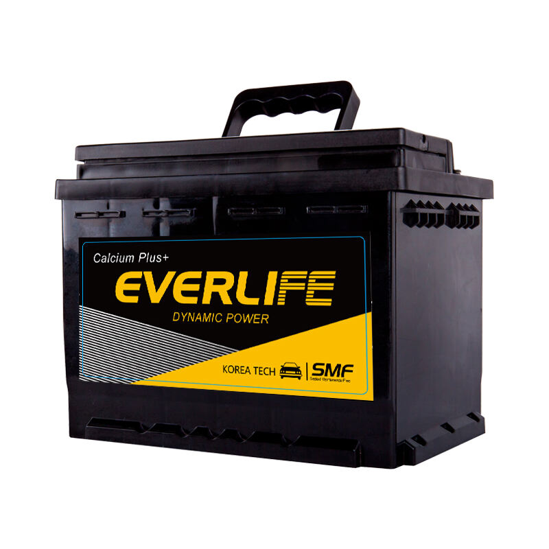 AUTOBATERIE EVERLIFE DIN64