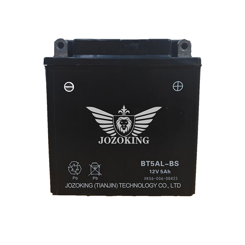 A good quality lead acid battery