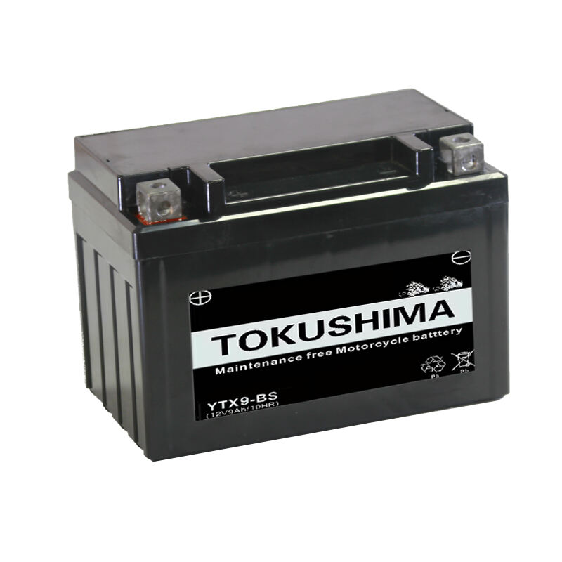 TOKUSHIMA YTX9-BS Moto Baterie