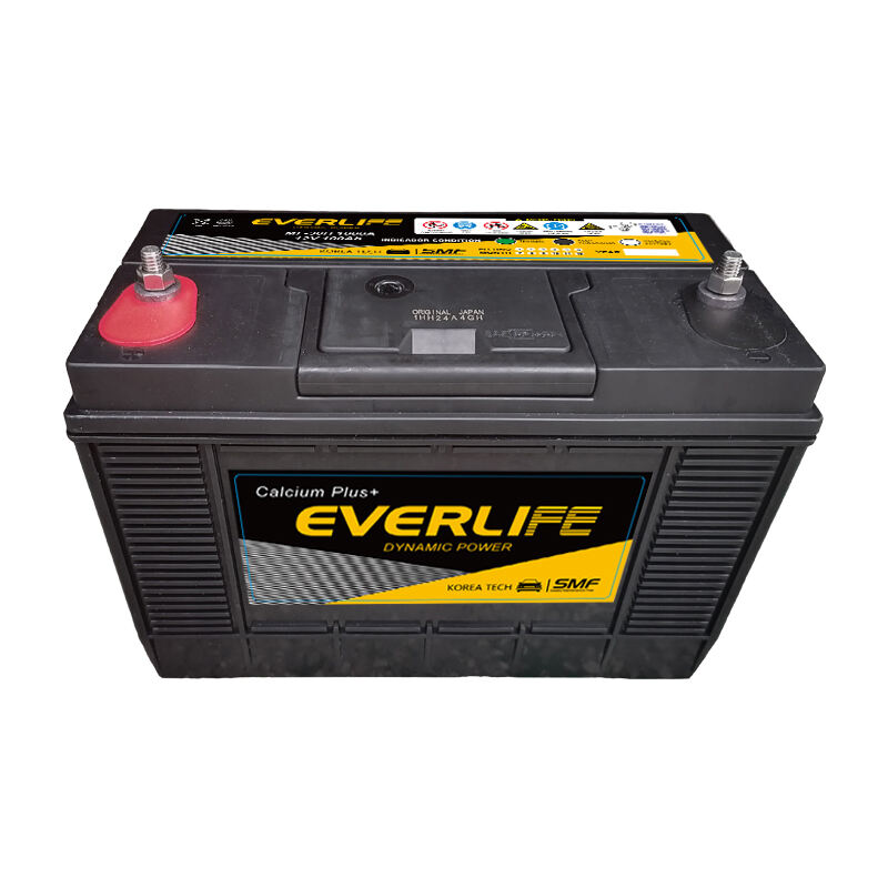 AUTOMATICKÝ STARTOVACÍ AKUMULÁTOR EVERLIFE MF-30H