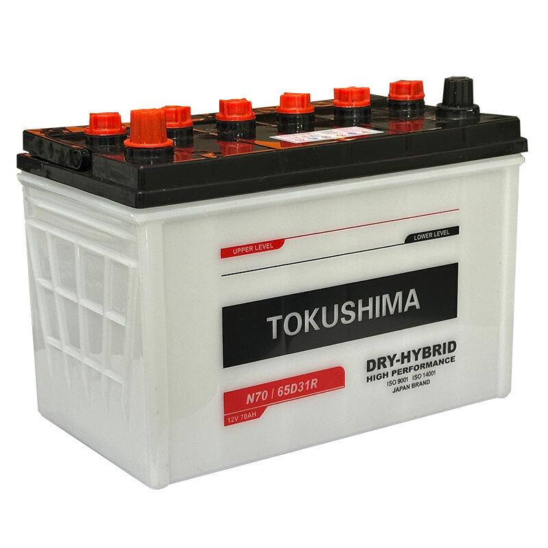 DRY CHARGED AUTOMOTIVE BATTERY