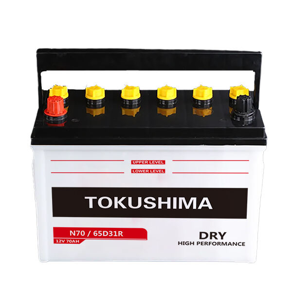 TOKUSHIMA N70 DR Autobaterie